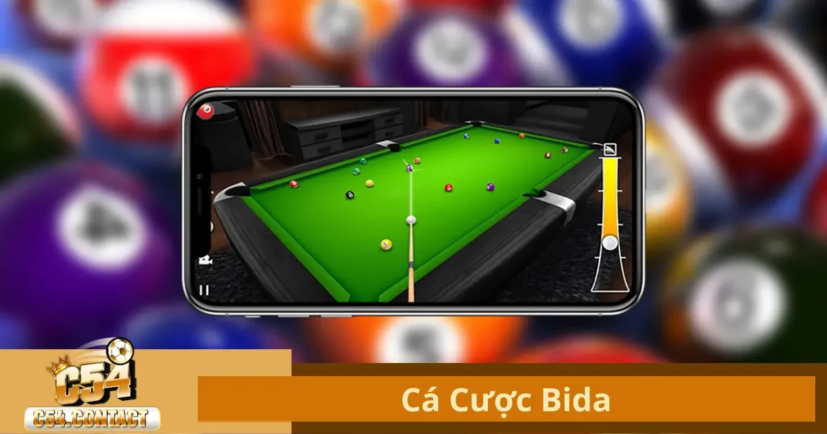 Cá Cược Bida Tại C54 – Đầy Kịch Tính Cho Ai Yêu Thể Thao 2 Cá Cược Bida Là Gì? Tìm Hiểu Các Loại Kèo Phổ Biến