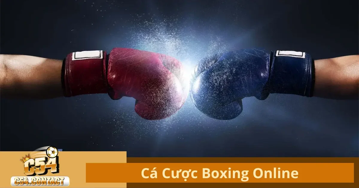 Cá Cược Boxing Online Tại C54 – Đối Kháng Đầy Kịch Tính 2 Boxing Online Là Gì? Các Loại Kèo Phổ Biến Trong Boxing