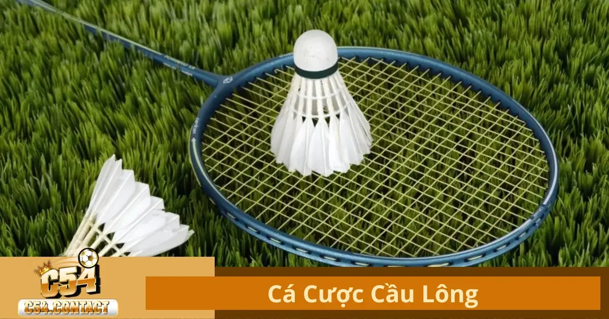 Cá Cược Cầu Lông Tại C54 – Hướng Dẫn Chọn Kèo Chính Xác 2 Cá Cược Cầu Lông Là Gì? Luật Chơi Và Các Loại Kèo Phổ Biến