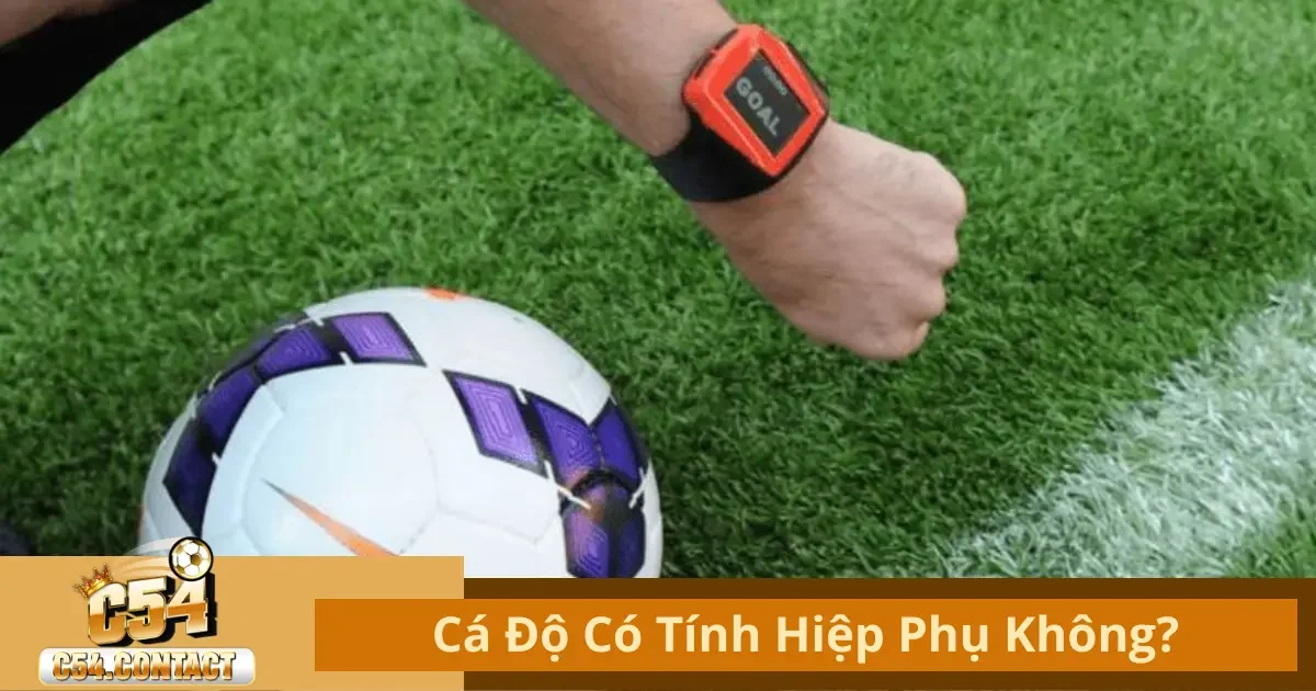Cá Độ Có Tính Hiệp Phụ Không Tại C54? Tìm Hiểu Quy Tắc 2 Cá Độ Có Tính Hiệp Phụ Không? Các Loại Kèo Áp Dụng