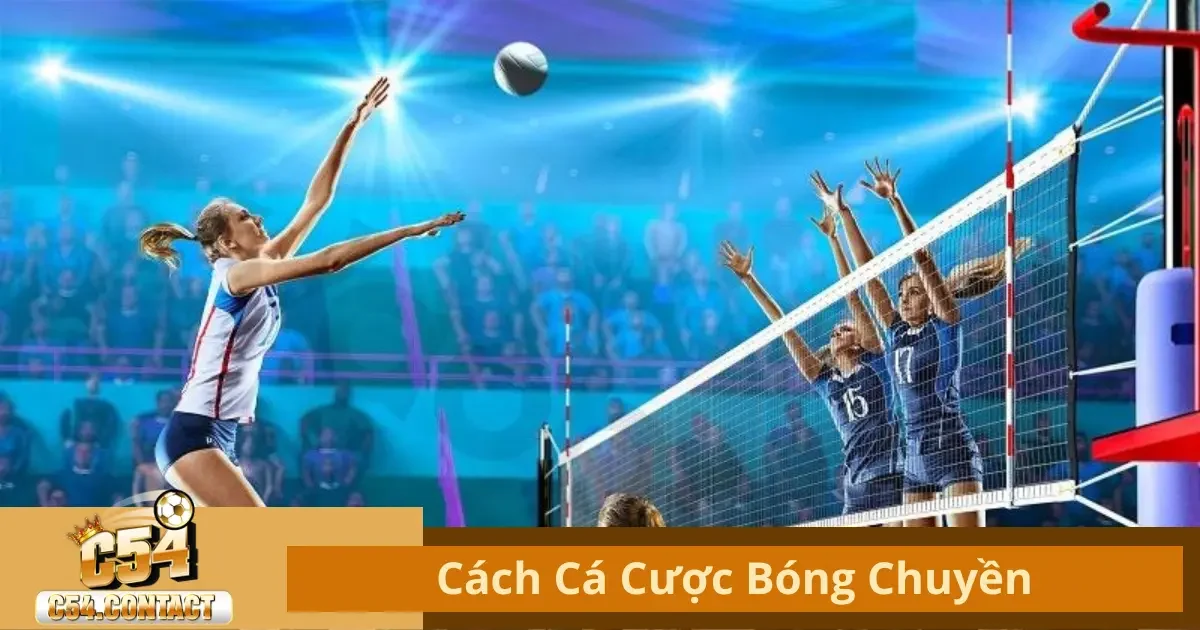 Cách Cá Cược Bóng Chuyền C54 – Bí Quyết Tăng Tỷ Lệ Thắng 2 Cá Cược Bóng Chuyền Là Gì? Tìm Hiểu Luật Chơi Tại C54