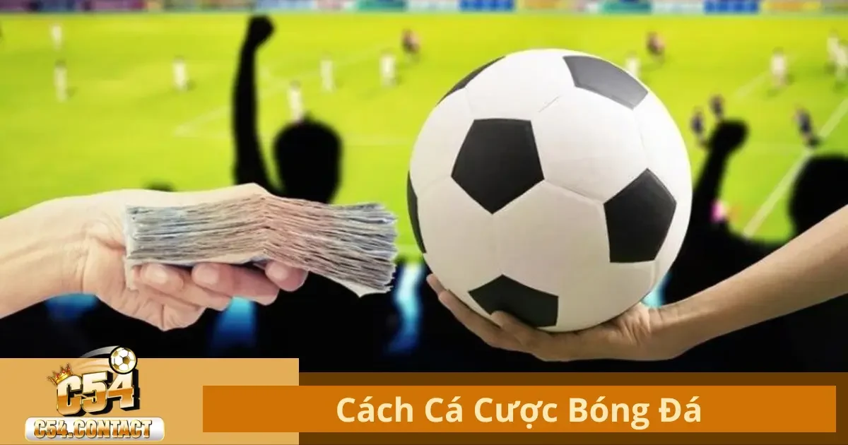 Cách Cá Cược Bóng Đá C54 – Đặt Kèo Tối Ưu Cho Người Mới 2 Cá Cược Bóng Đá Là Gì? Các Loại Kèo Phổ Biến Tại C54