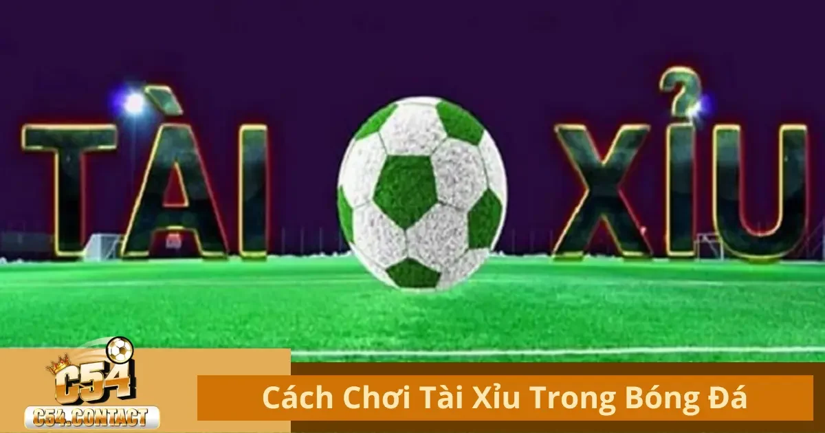 Cách Chơi Tài Xỉu Trong Bóng Đá C54 – Bí Quyết Thắng Lớn 2 Tài Xỉu Trong Bóng Đá Là Gì? Hướng Dẫn Chơi Cơ Bản