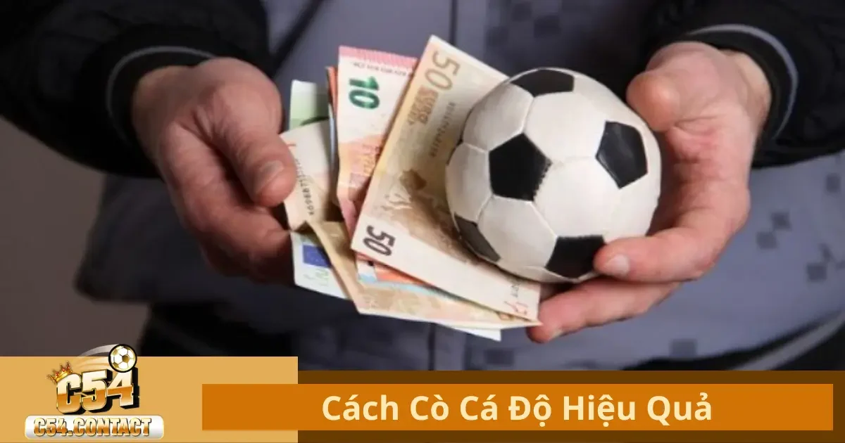 Cách Cò Cá Độ Hiệu Quả C54 – Bí Quyết Tăng Lợi Nhuận 2 Cách Cò Cá Độ Hiệu Qủa Là Gì? Tìm Hiểu Cách Hoạt Động Tại C54