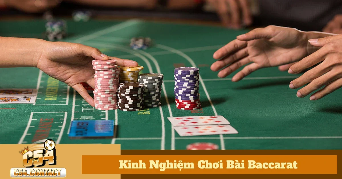 Kinh Nghiệm Chơi Bài Baccarat C54 – Cách Để Tăng Tỷ Lệ Thắng? 4 Các loại cược trong kinh nghiệm chơi bài baccarat & tỷ lệ trả thưởng